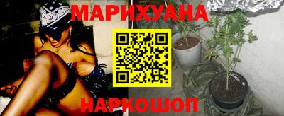 сатива Ноябрьск