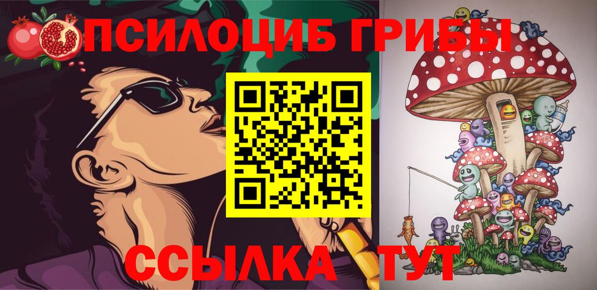 Дубна  Псилоцибиновые грибы прущие грибы  Вход с VPN 