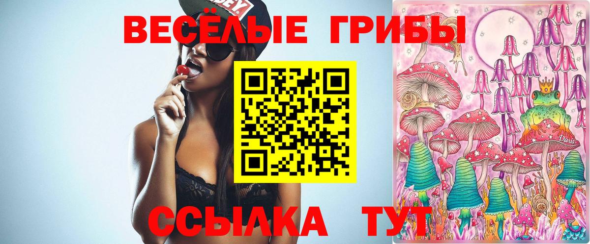 Галлюциногенные грибы прущие грибы Дубна